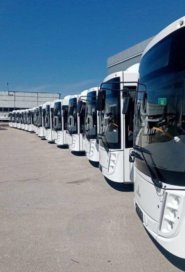 Новые автобусы МАЗ в Тольятти