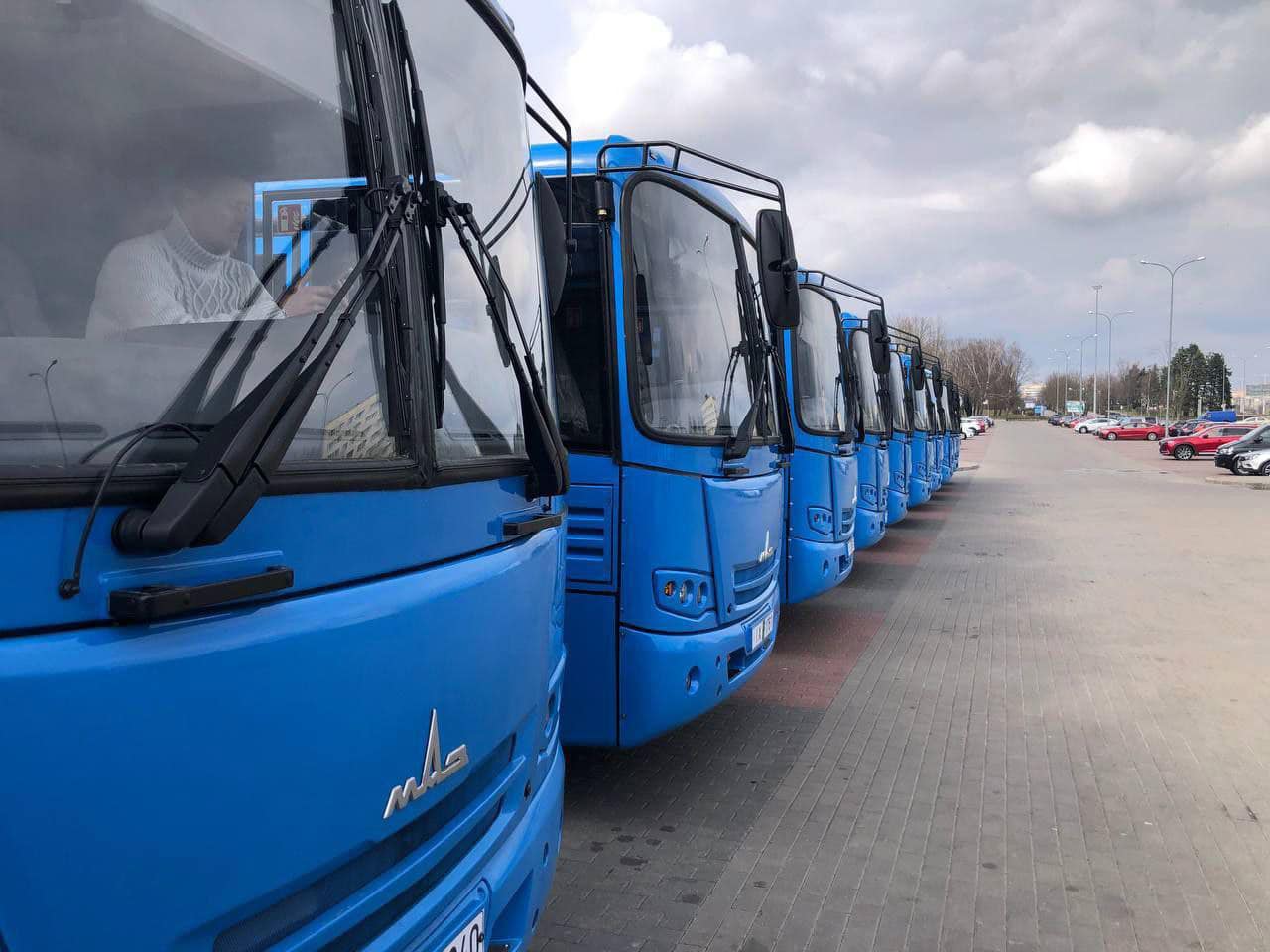 Новые автобусы МАЗ в Гродно